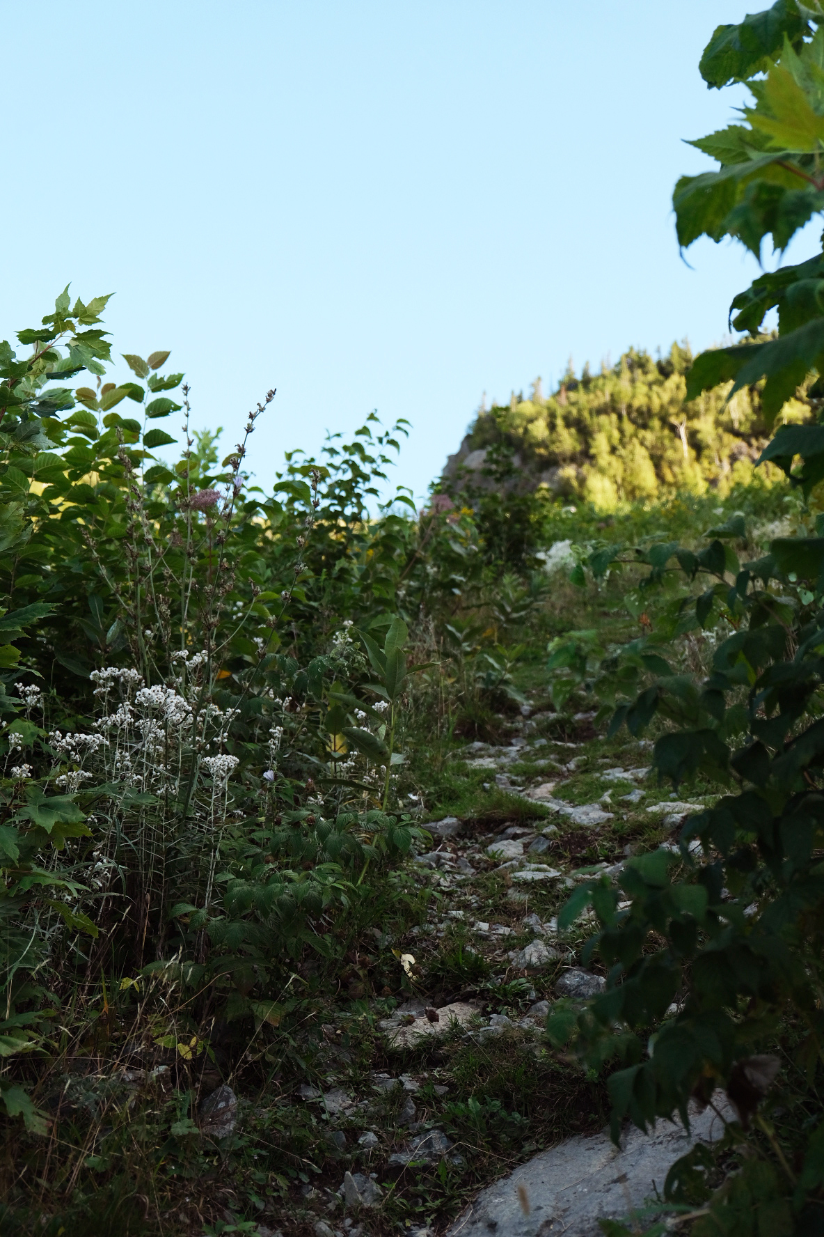 2022 0831 20560300272 retouche