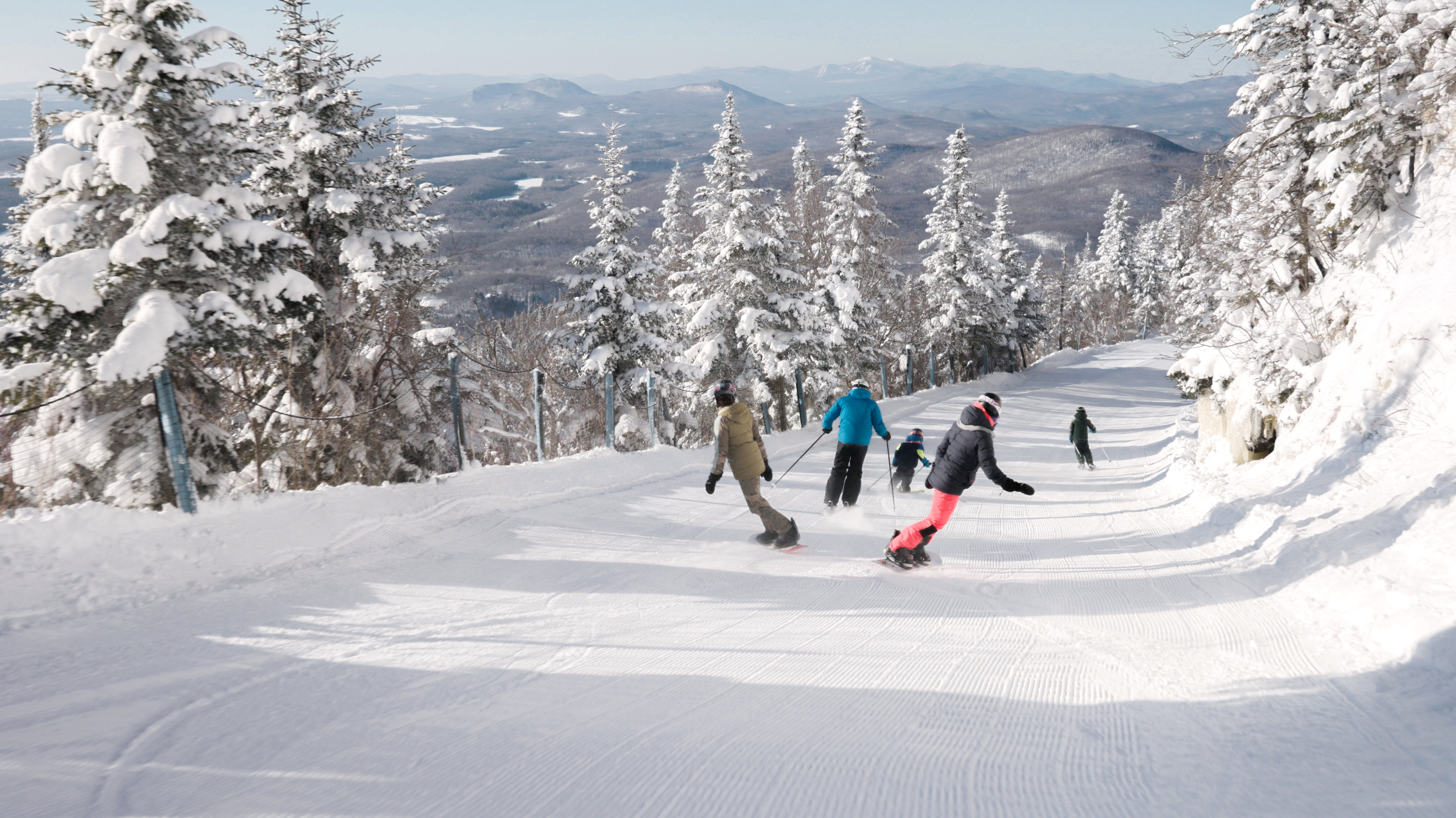 458295843 famille still2