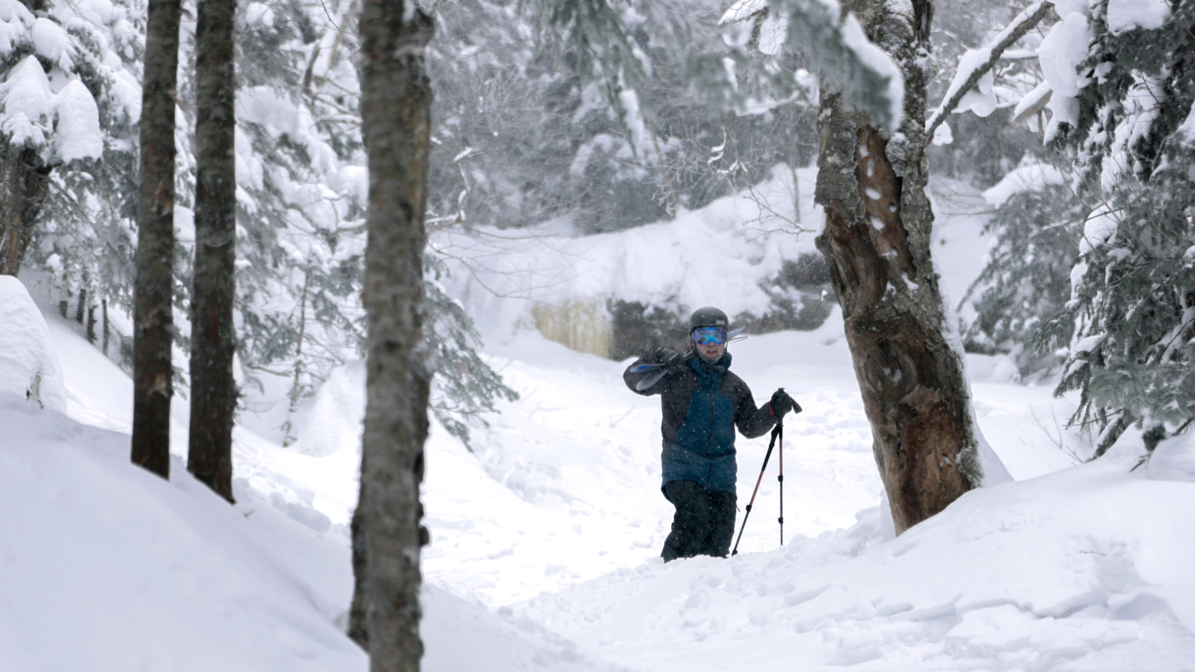 458295895 sam still2