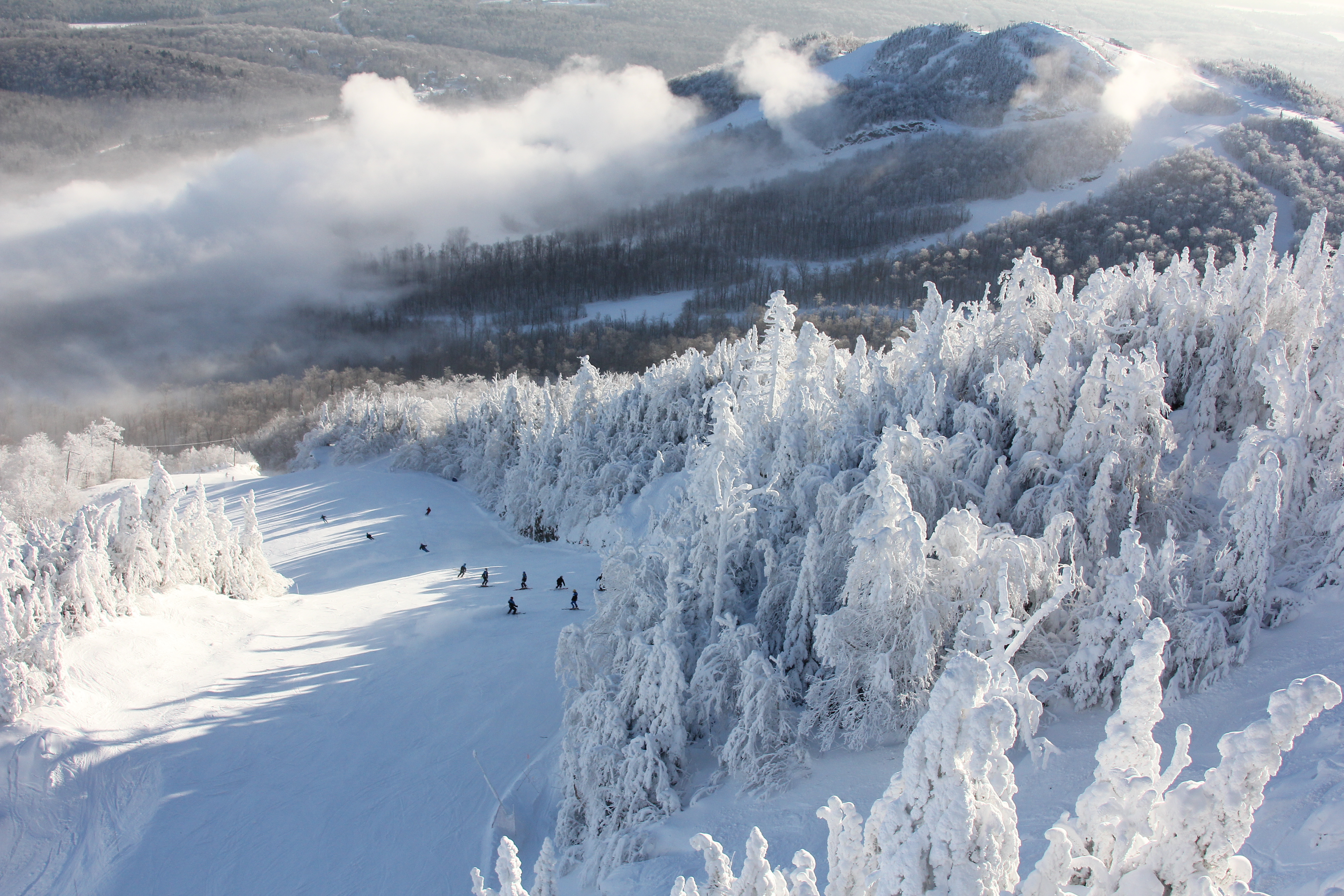 Andre Daniel Img 5041