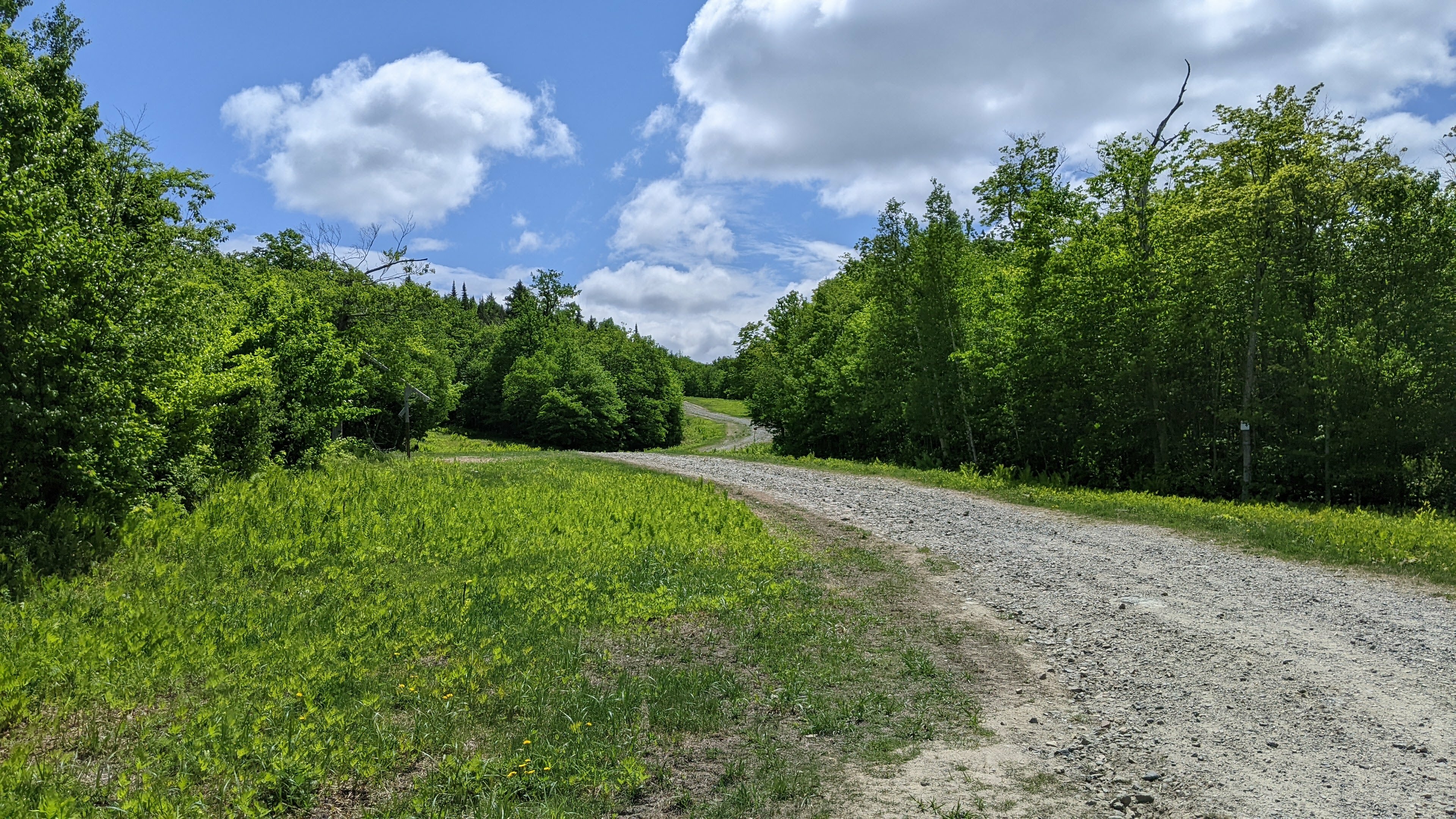 PXL 20230605 162502391