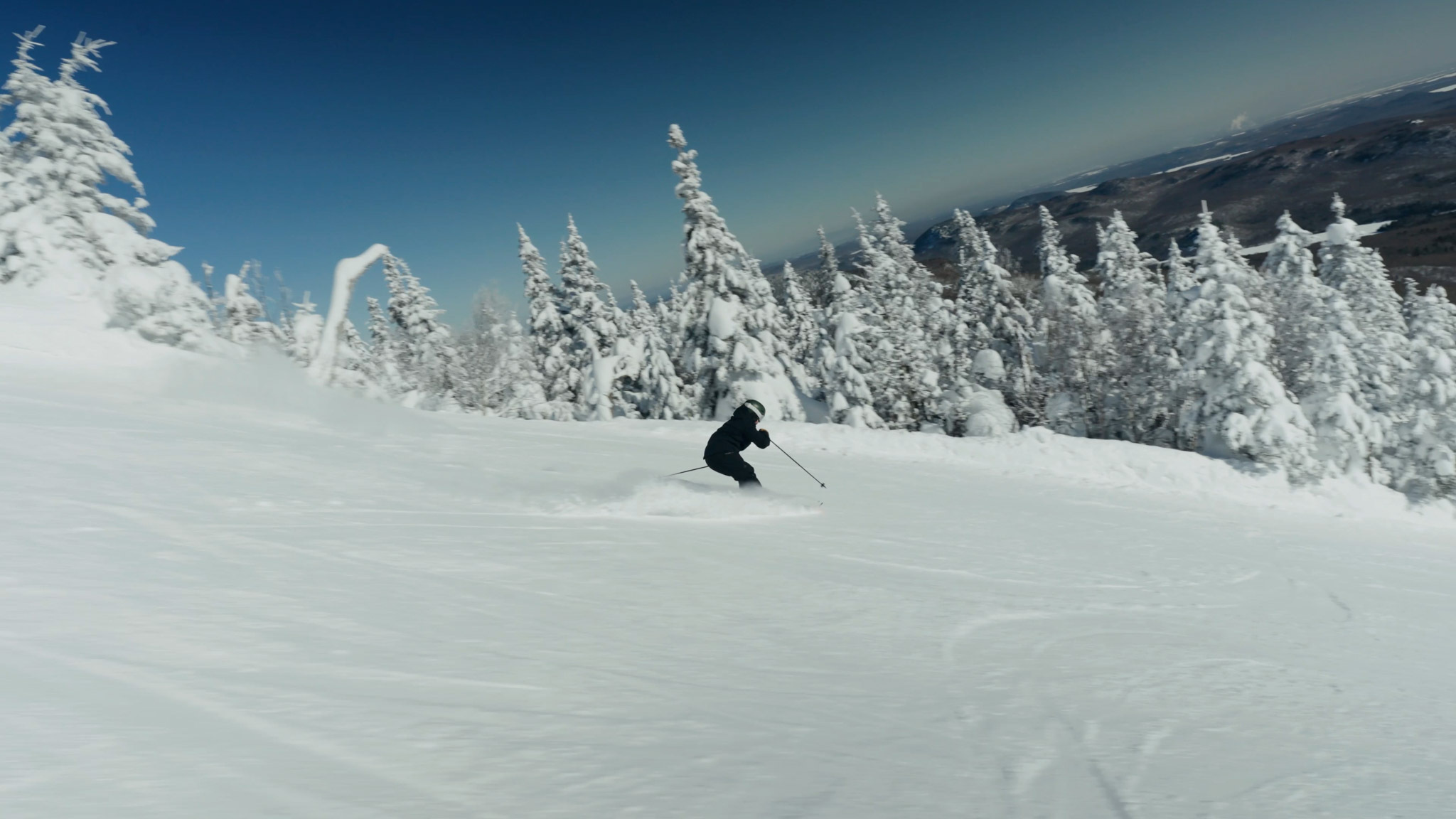 Sequence 01 00 00 54 19 Still019