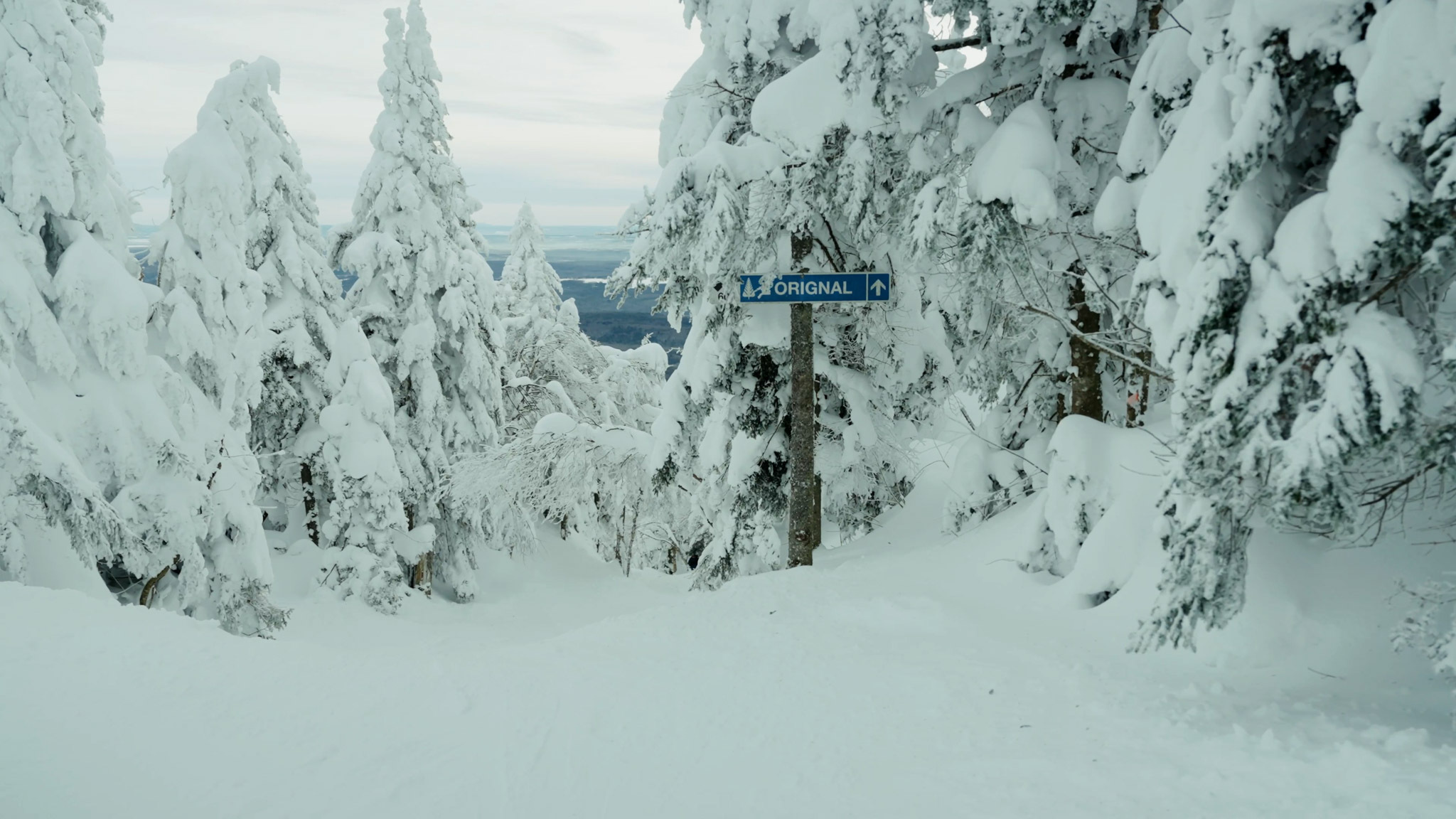 Sequence 01 00 01 49 17 Still035