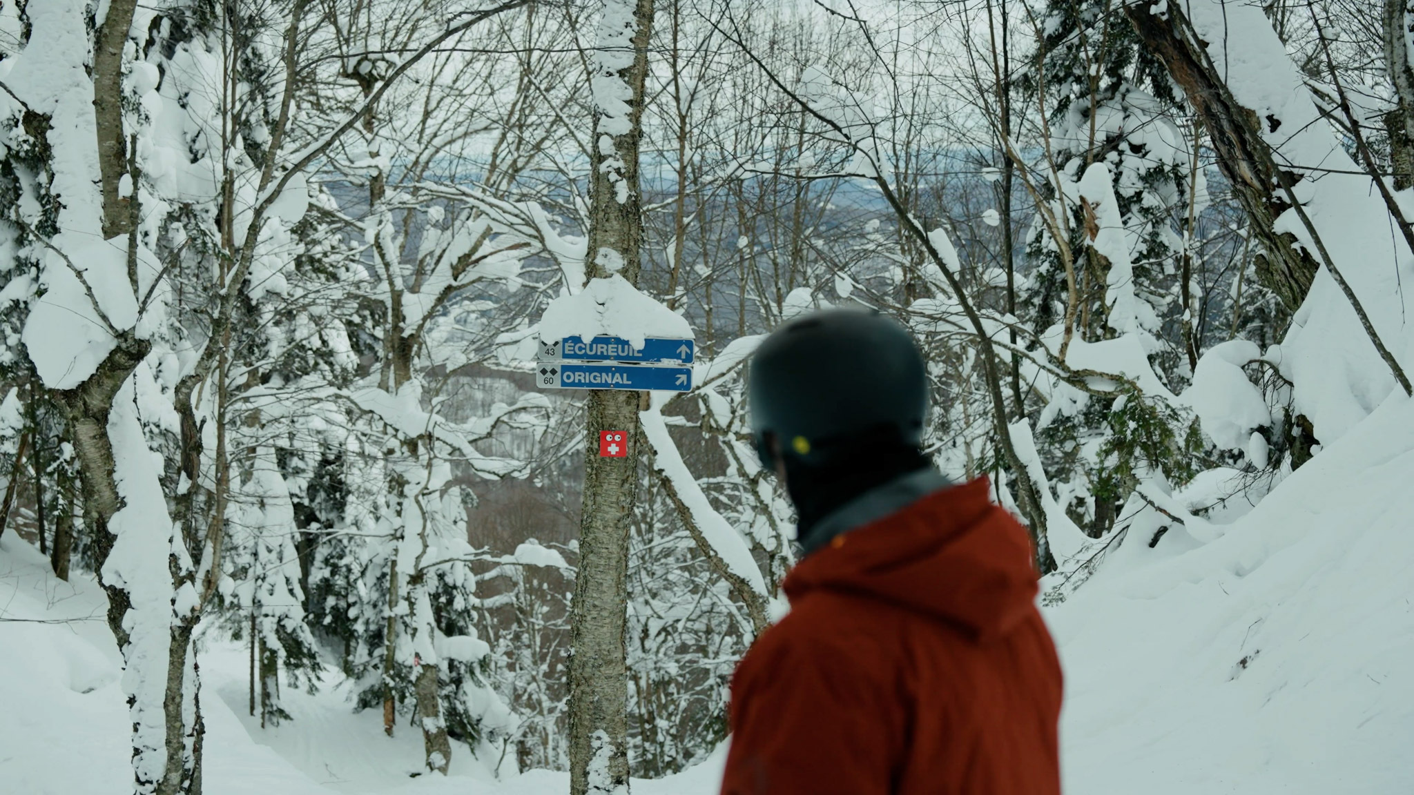 Sequence 01 00 02 25 01 Still048