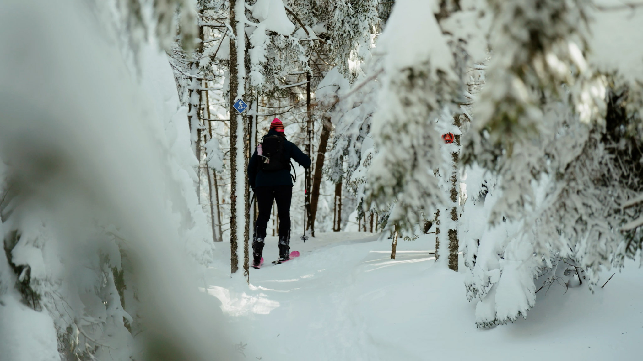 Sequence 01 00 03 15 10 Still066