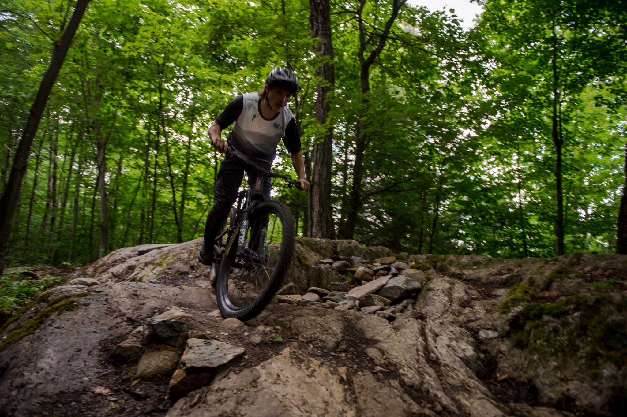 SV MTB 40