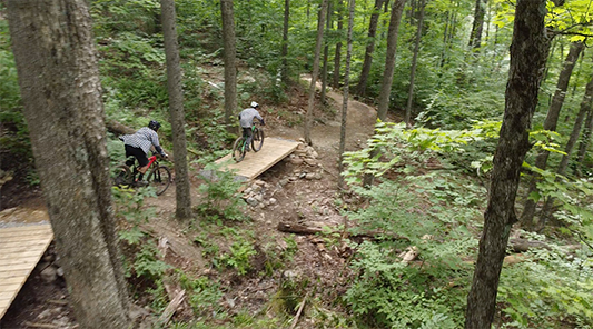 Sentier est piste