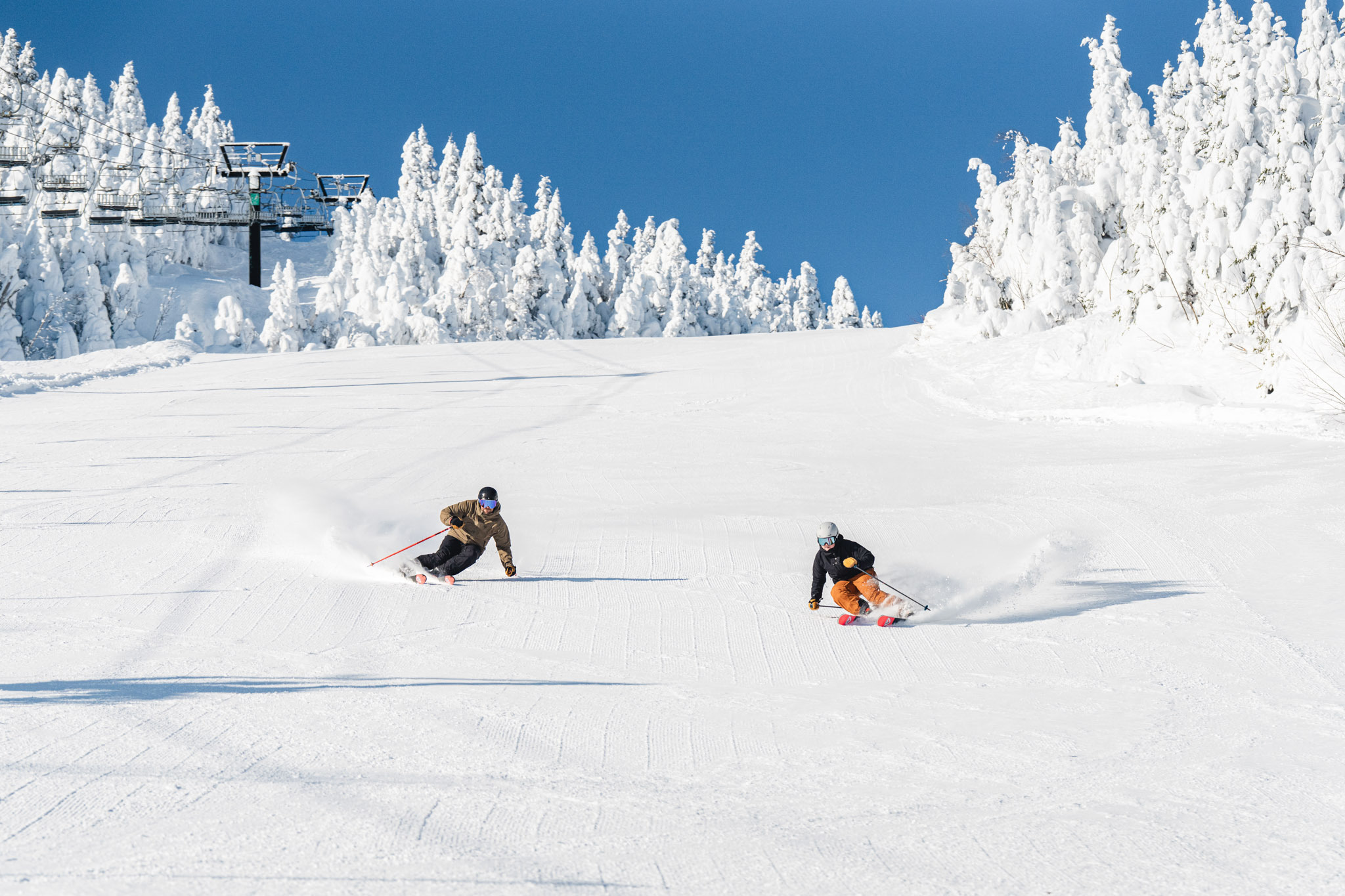 Alexeroot Orford H26 10