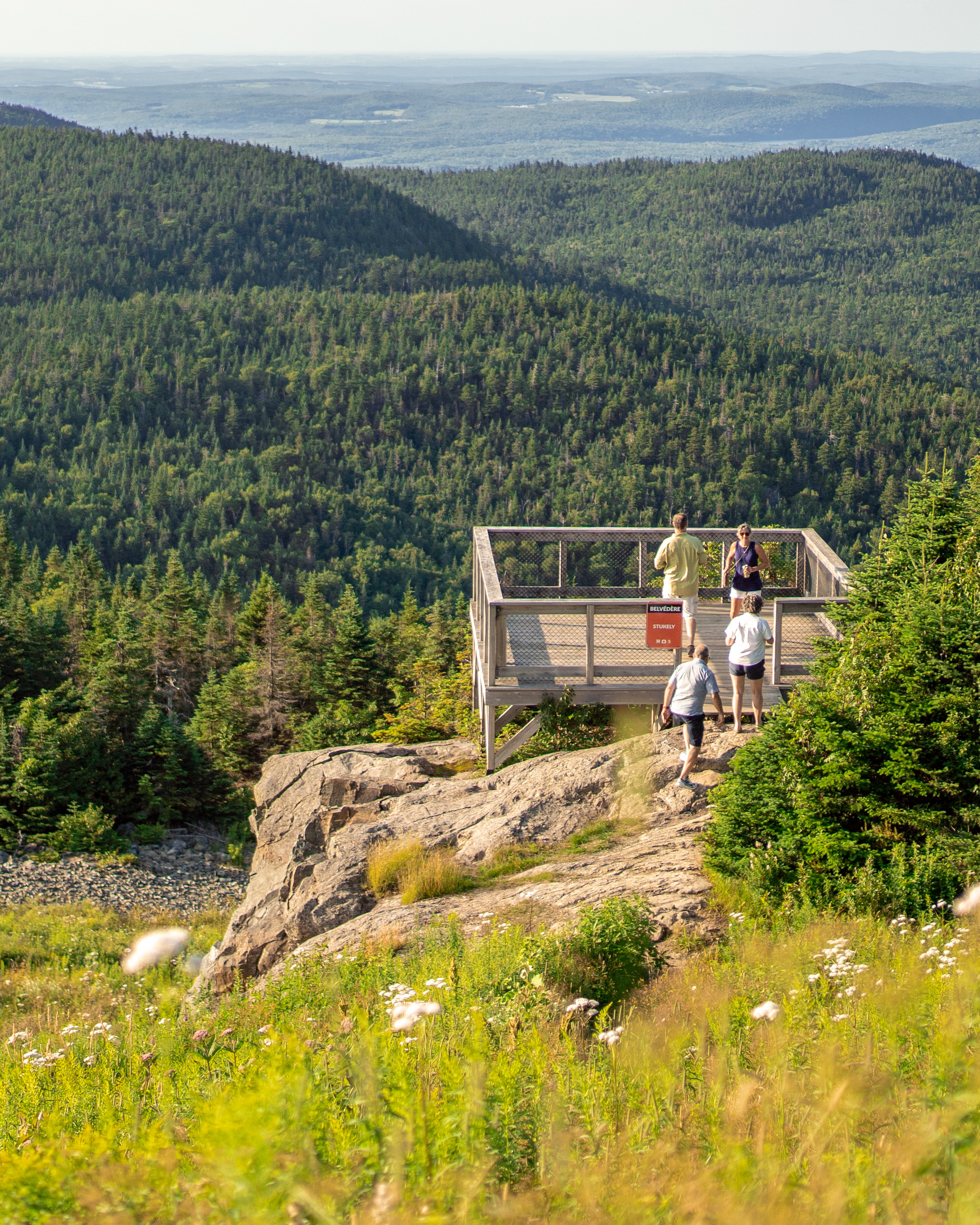 Les 5 belvédères du Mont-Orford
