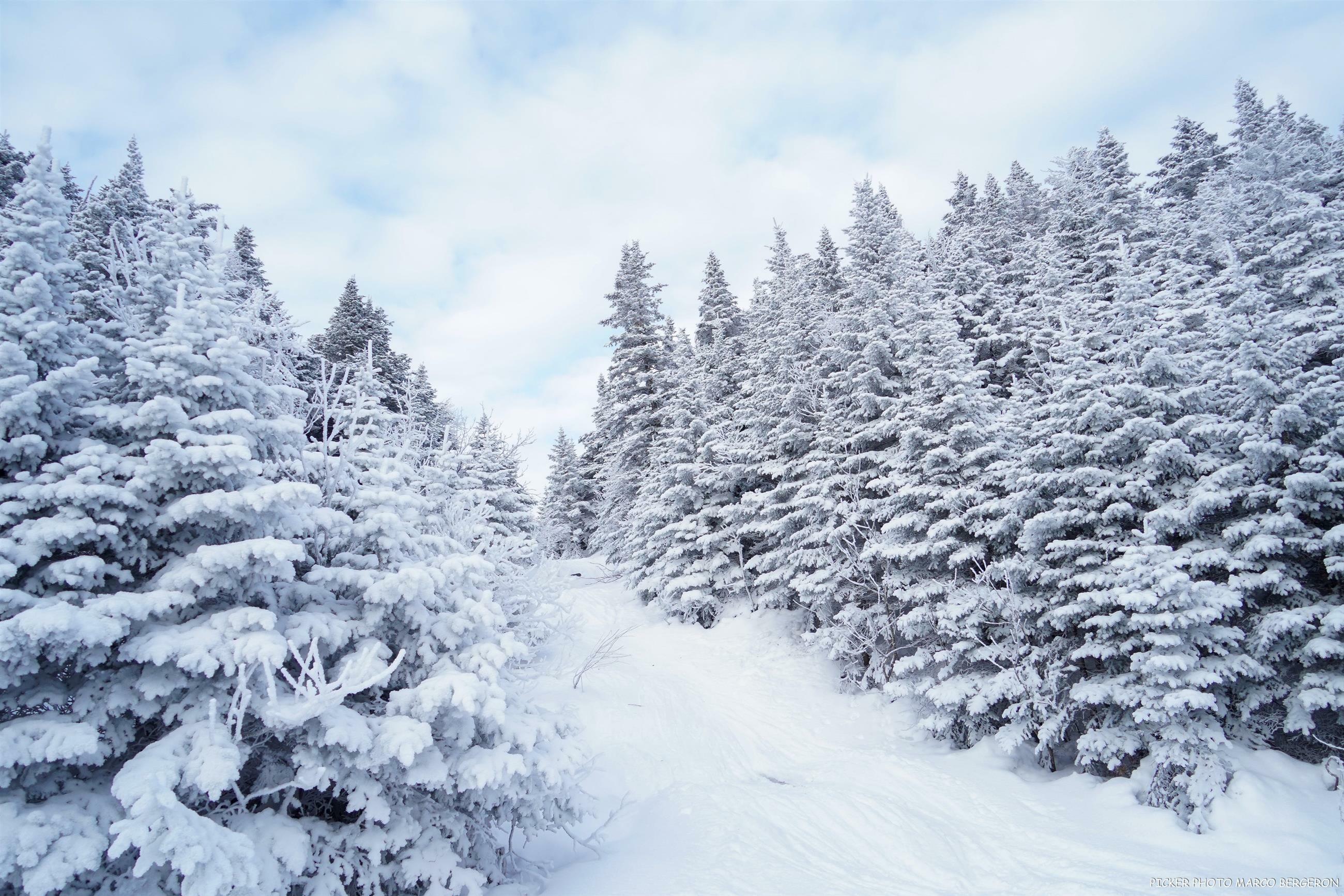 Bien se préparer pour la rando alpine Mont Orford