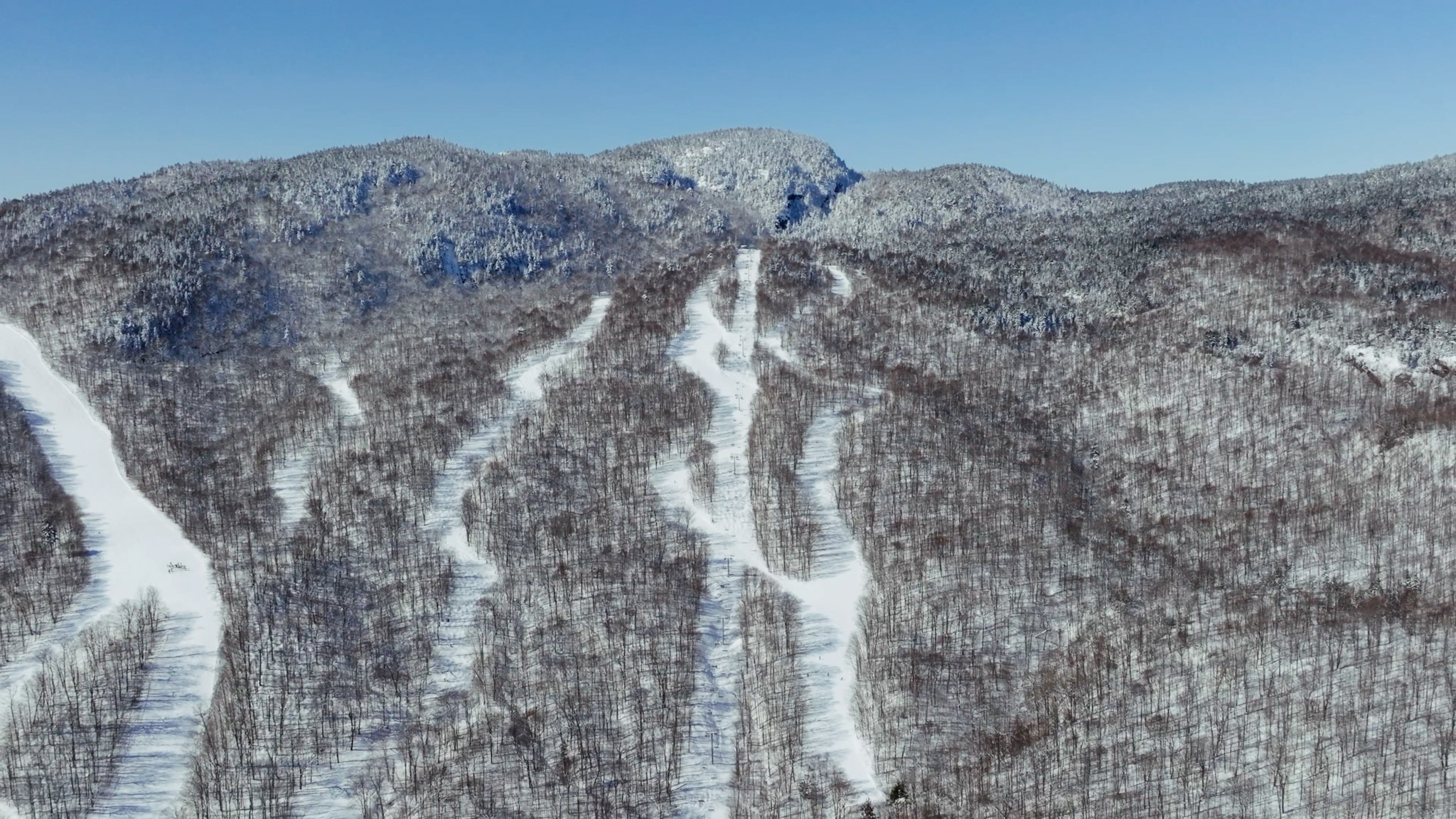 Sequence 01 00 00 01 07 Still003