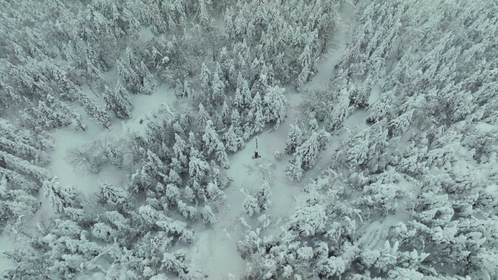 Sequence 01 00 02 03 08 Still042