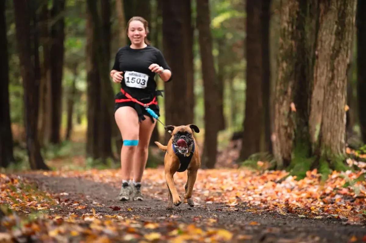 Sirius Sports Canins jpg