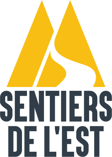 Logo SE Transparent