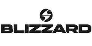 Logo blizzard 300x150