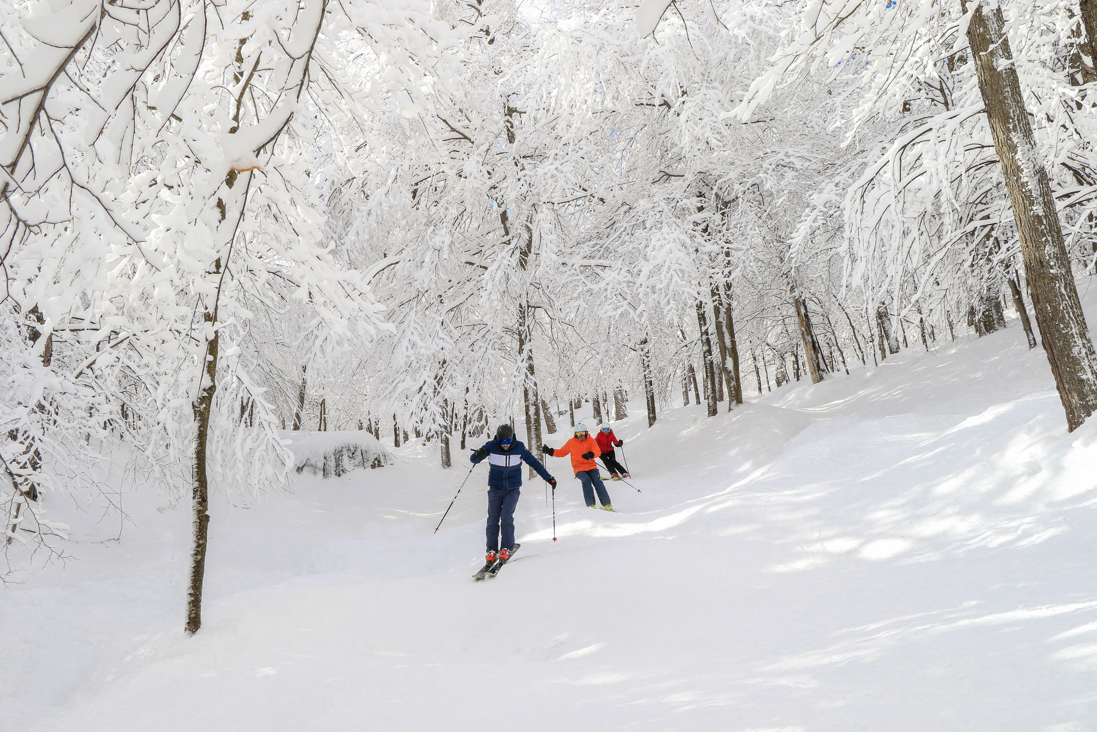 Marco Bergeron Mar 5401 Lr