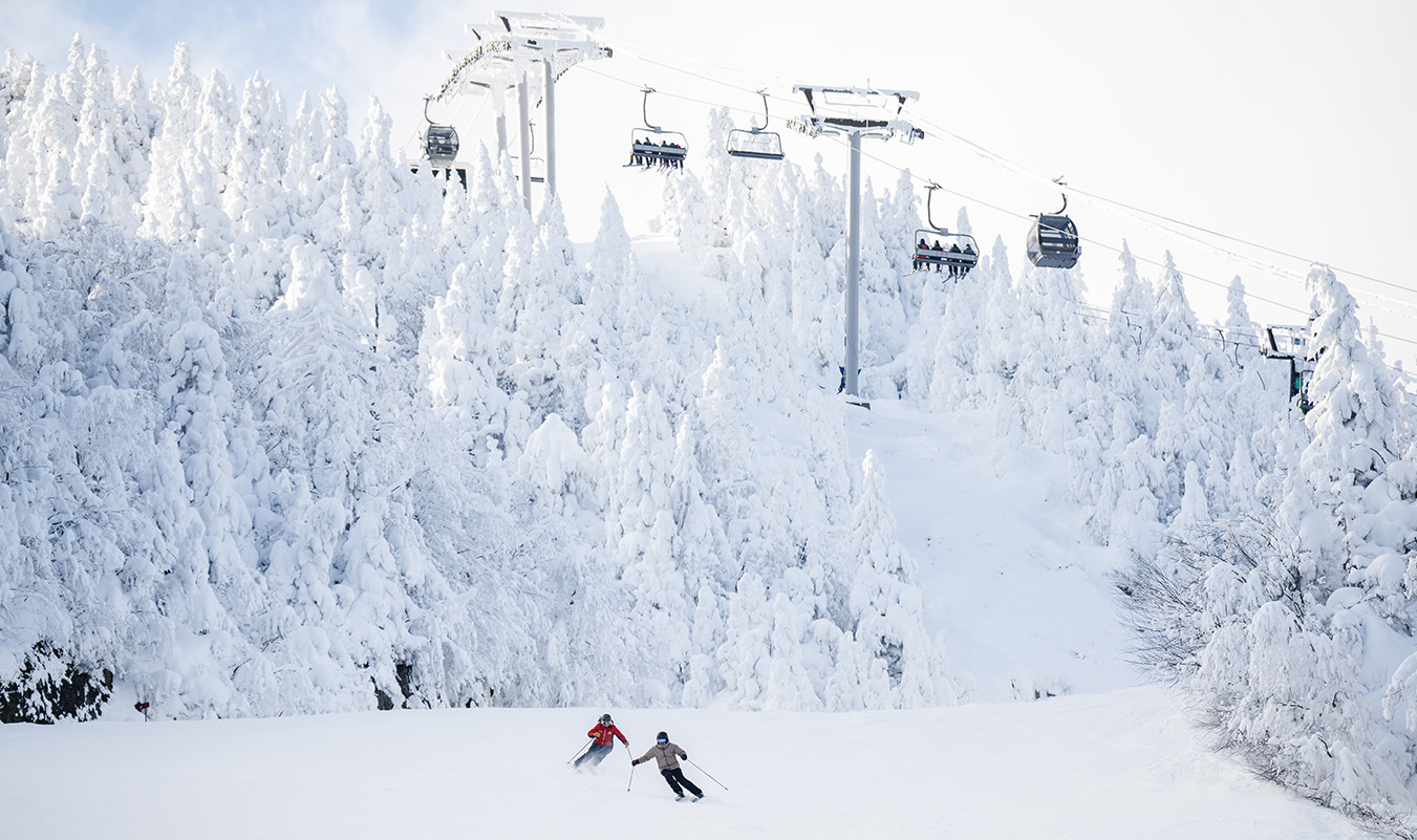 ALEXEROOT Orford Ecoledeski 009 site web