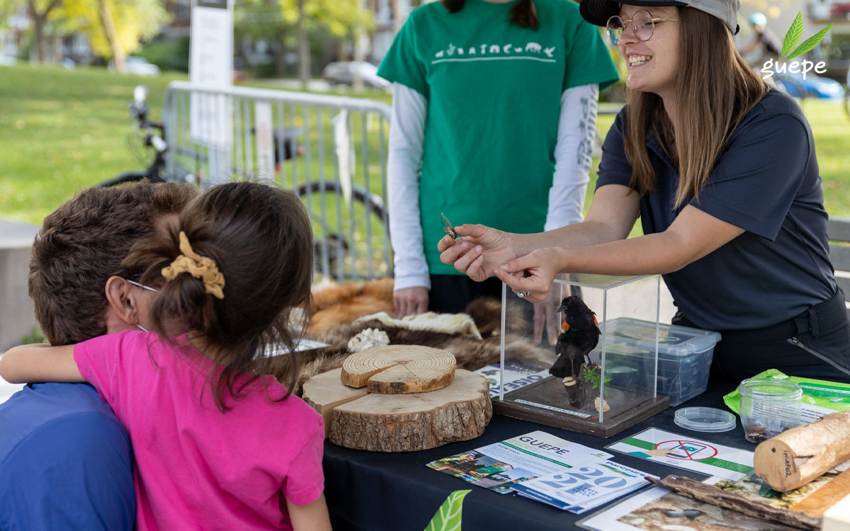 GUEPE Photo Marche public