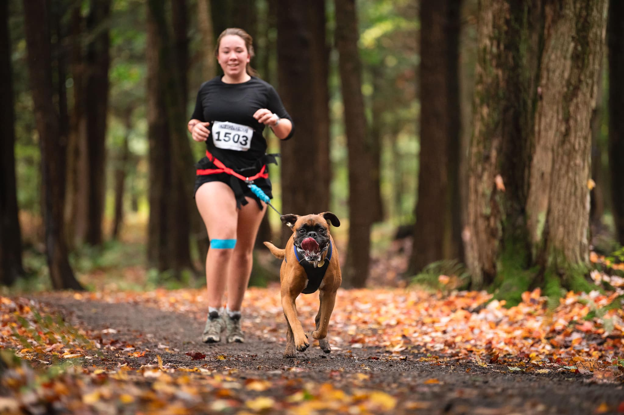 Sirius Sports Canins