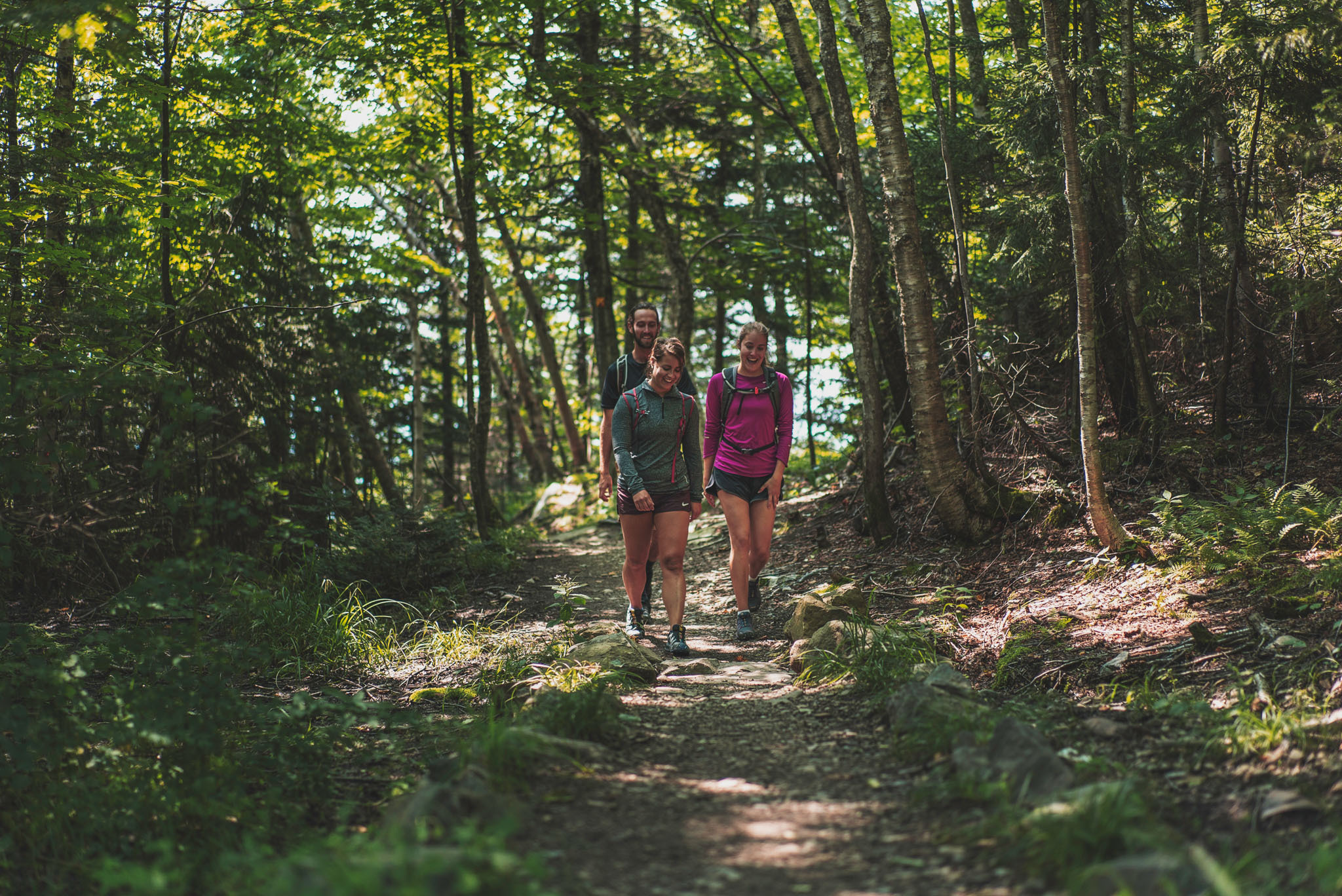 Hike & Wine